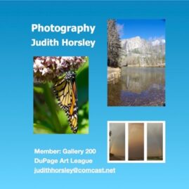 Judith Horsley Photographer